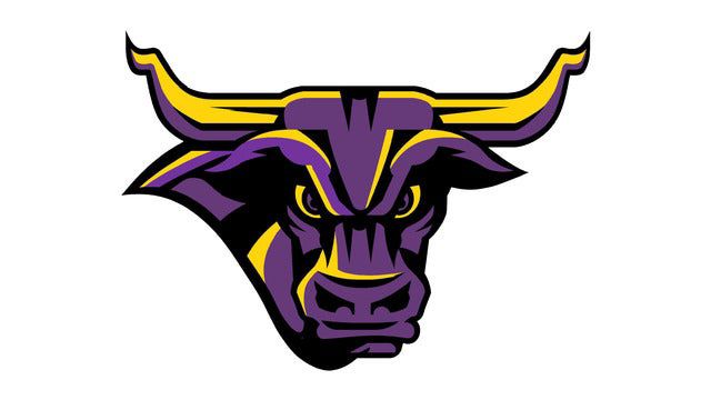 Minnesota State Mankato Mavericks Womens Hockey vs. Bemidji State University Beavers Womens Hockey - Nov. 22